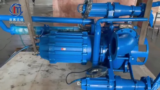 Zjq River Dragaggio Pompa di Raccolta dei Liquami di Fango Sommerso Pompa Centrifuga Verticale per Dragaggio di Aspirazione della Sabbia Pompa Sommergibile per Liquami Minerali Minerari